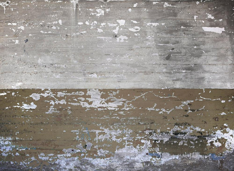 Concrete Coated Mural Wallpaper