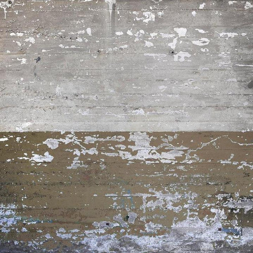 Concrete Coated Wall Mural