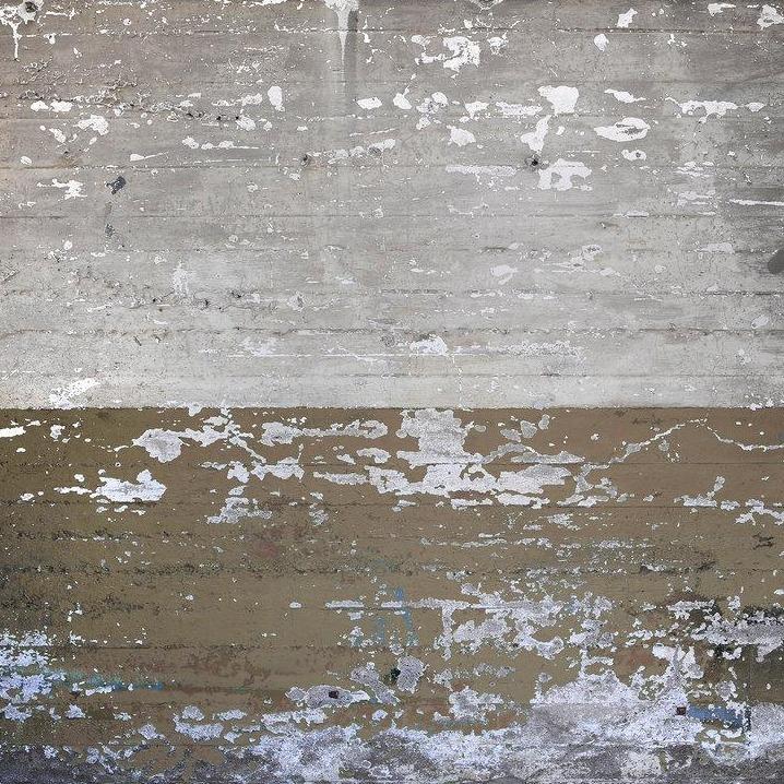 Concrete Coated Wall Mural