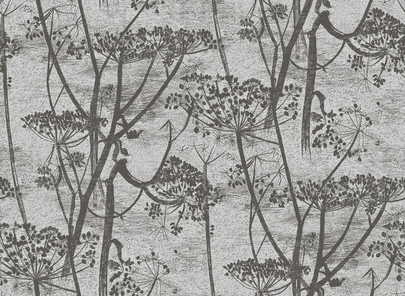 Cow Parsley Wallpaper - Charcoal
