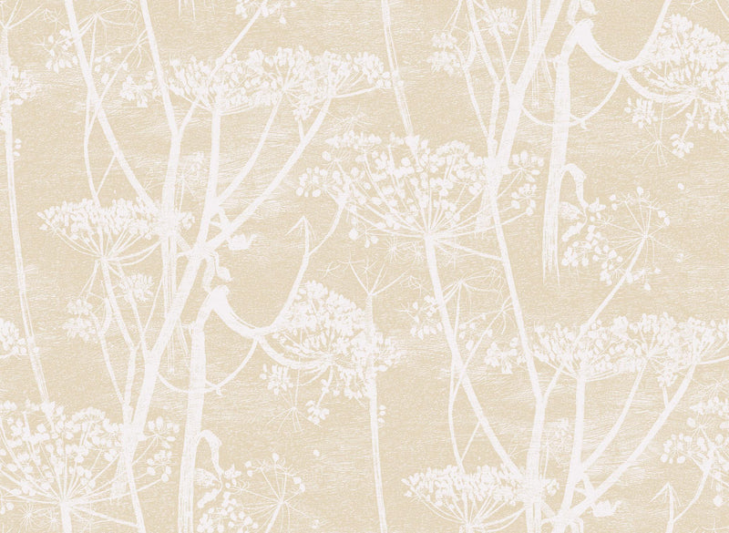 Cow Parsley Wallpaper - 10 Colours