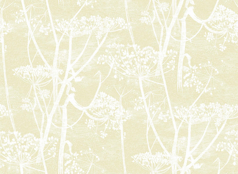 Cow Parsley Wallpaper - 10 Colours