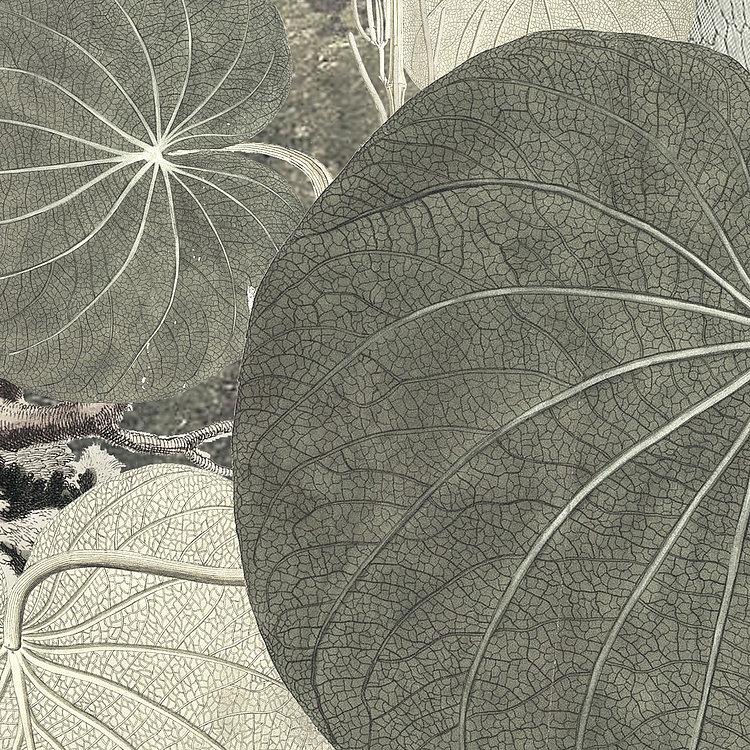 Creation - Wallpaper Mural NZ-Wallpaper