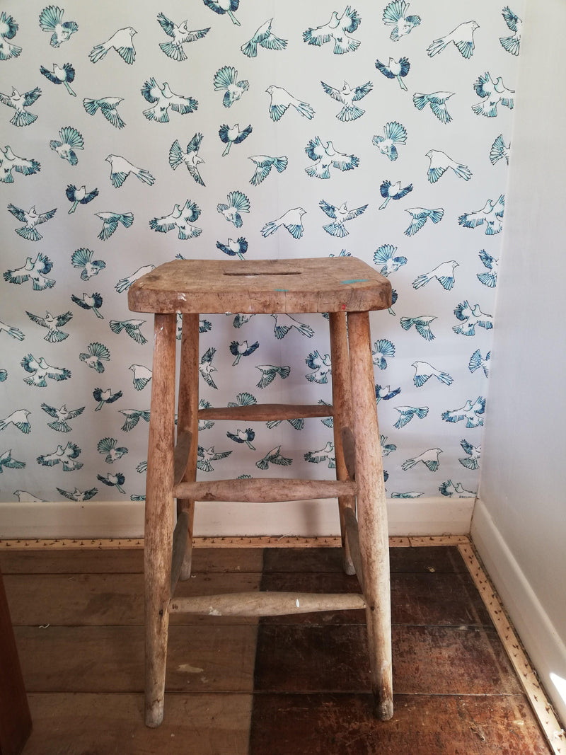 Dawn Chorus - NZ inspired wallpaper and fabric