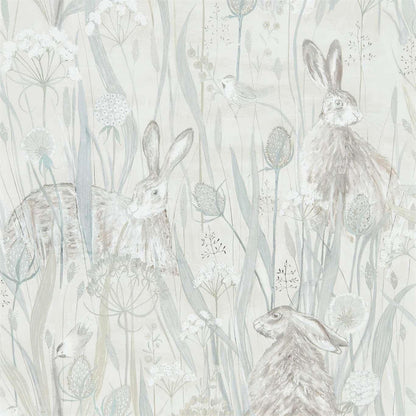 Dune Hare Wallpaper