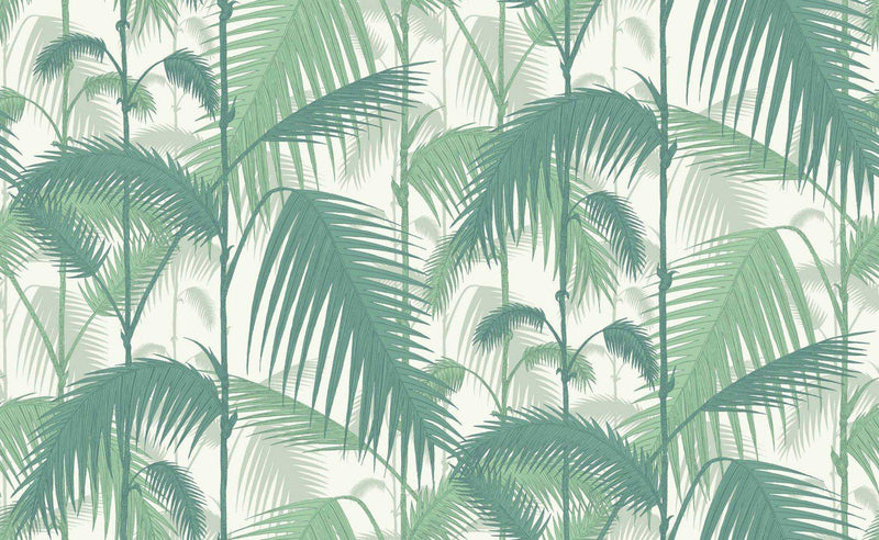 Palm Jungle Wallpaper - Cole and Sons