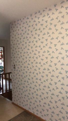 Fantail Wallpaper in Ashanti