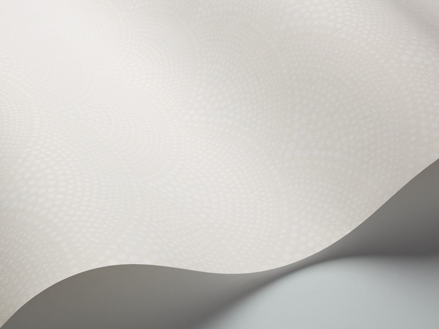 Feather Fan Wallpaper - 7 Colours