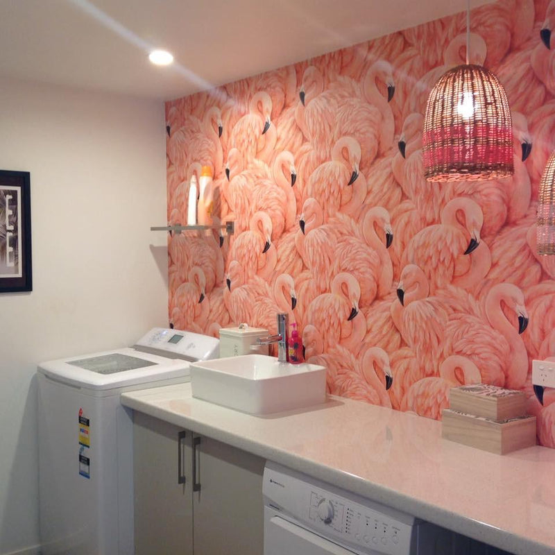 Flamingos in a laundry