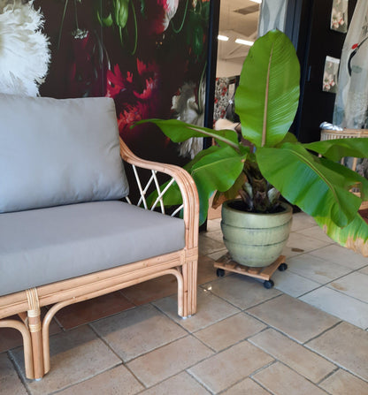 Florence Cane Couch - 3 seater NZ-Homeware