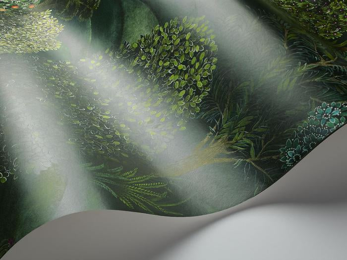 Forest wallpaper