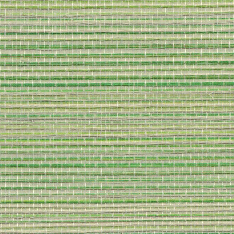 Agave Grasscloth Wallpaper - 12 Colours
