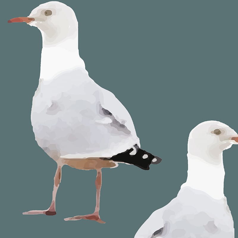 Twos Company Seagull Fabric - Dancing Waters