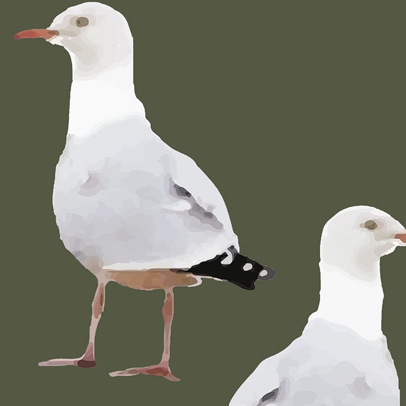 Twos Company - Seagull Fabric - MOSS