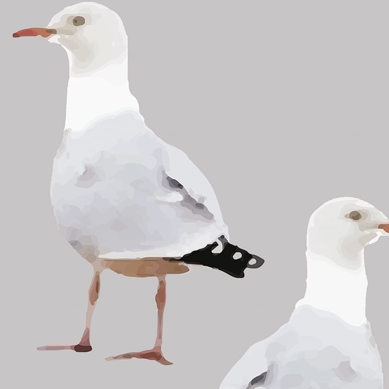 Twos Company Seagull Fabric - Pebble