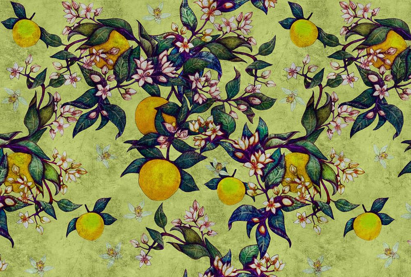 Grapefruit Mural - Green