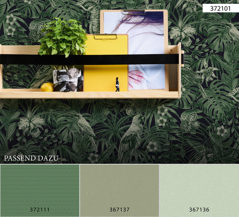Greenery Plain Coordinates - 7 Colours NZ-Wallpaper