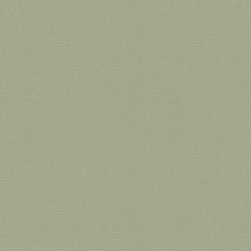 Greenery Plain Coordinates - 7 Colours