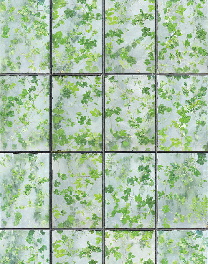 Greenhouse Wallpaper by Erik Gutter