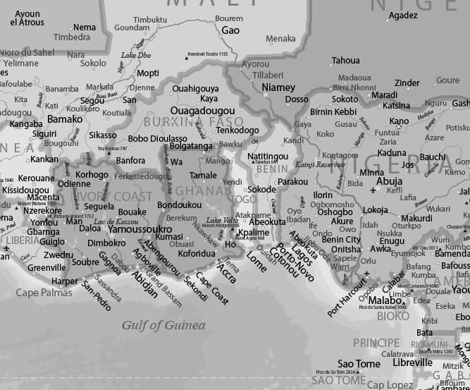 Grey Scale World Map - Africa Detail