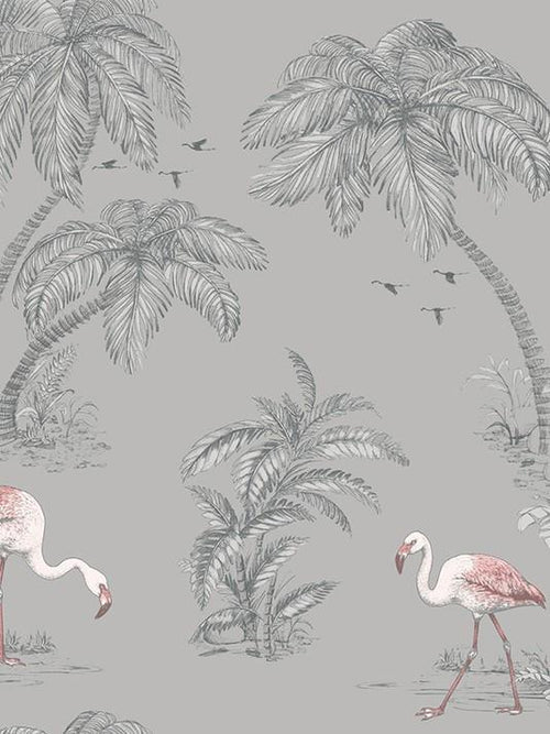 Grey/Coral