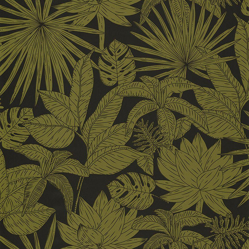 Hawai Wallpaper - Khaki