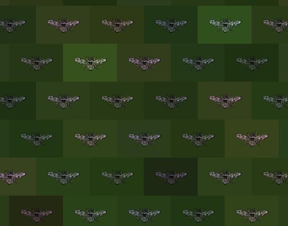 Hewson Bee Wallpaper - Customisable