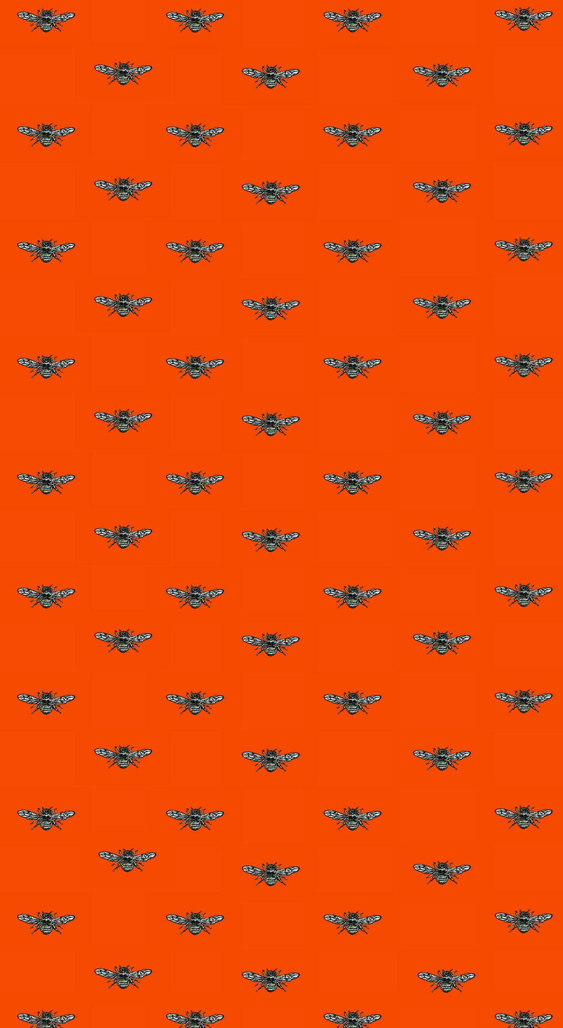 Hewson Bee  Wallpaper - Tangerine
