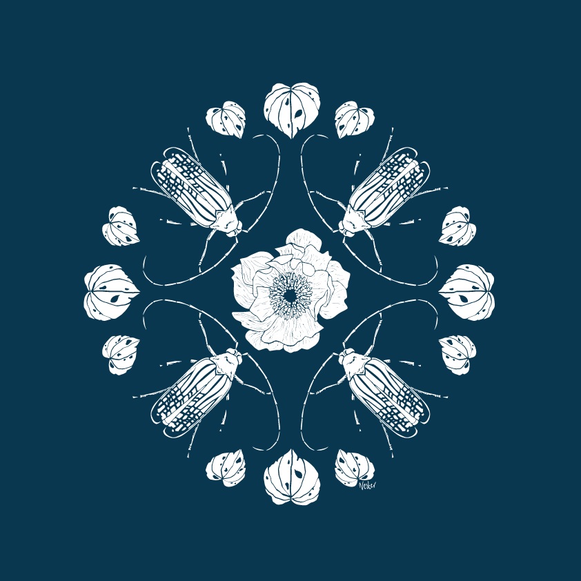 Huhu Mandala - NZ Wallpaper