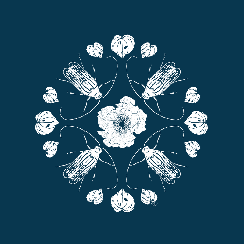 Huhu Mandala - NZ Wallpaper
