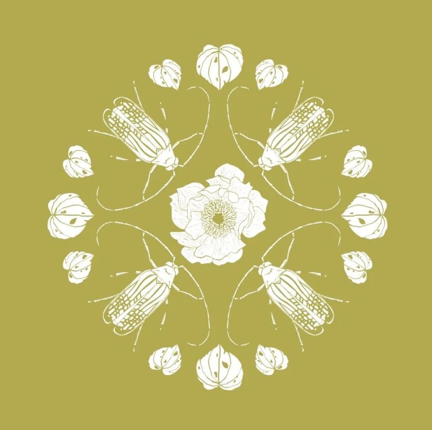 Huhu Mandala - NZ Wallpaper