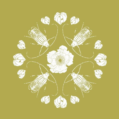 Huhu Mandala - NZ Wallpaper