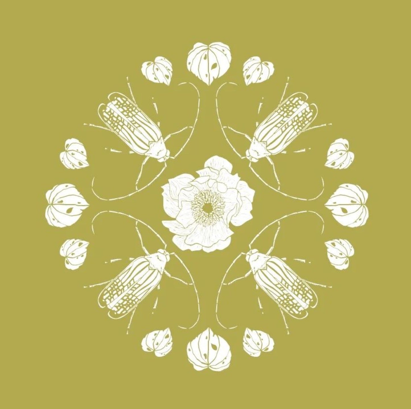 Huhu Mandala - NZ Wallpaper