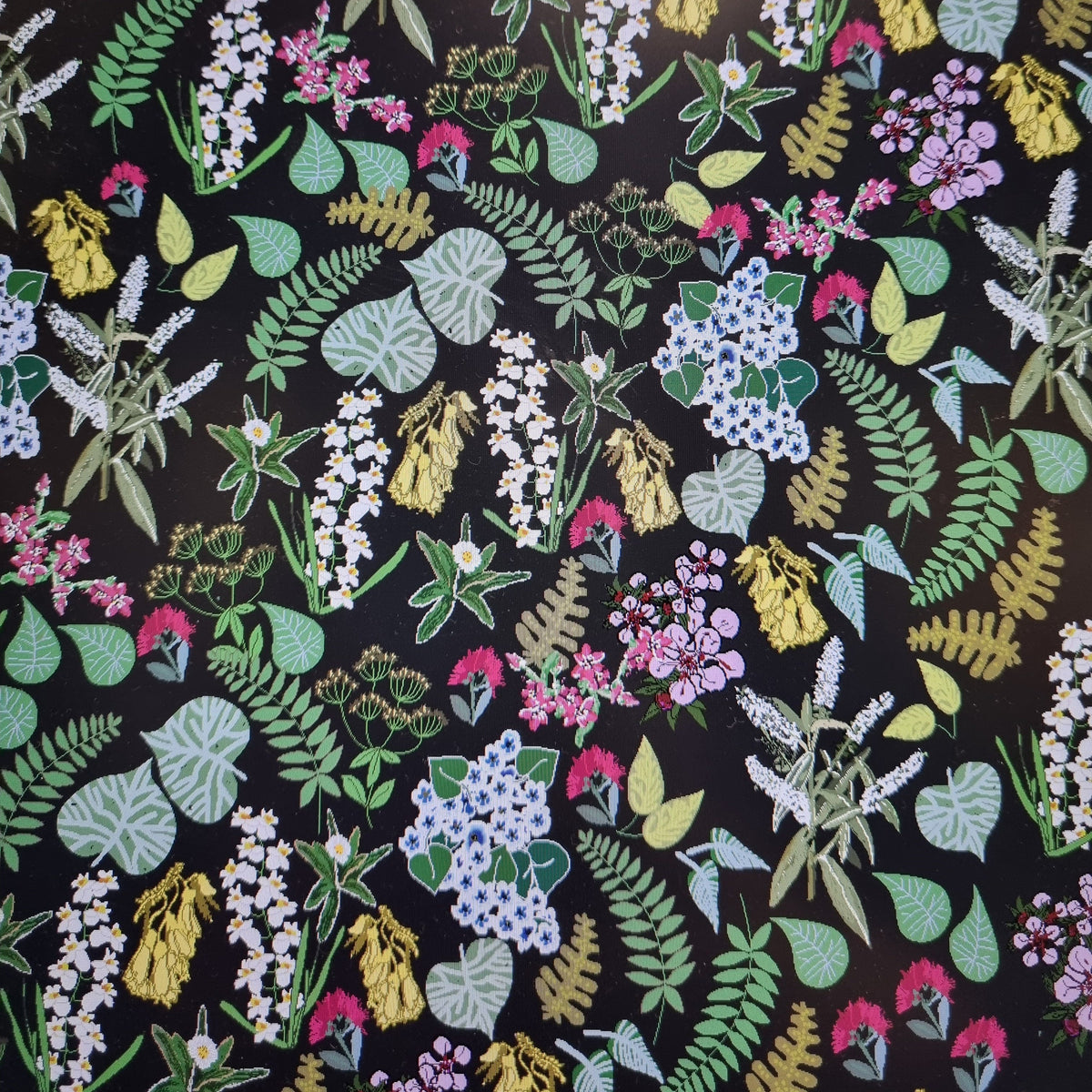Sample – Abel Tasman - Black - Custom Sized Wallpaper Mural (per m2)