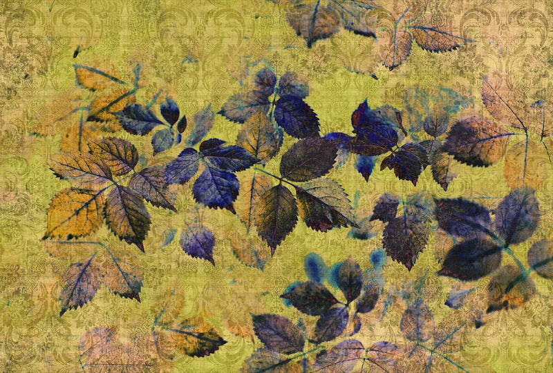 Indian Summer Mural Wallpaper - 2 Colours NZ-Mural