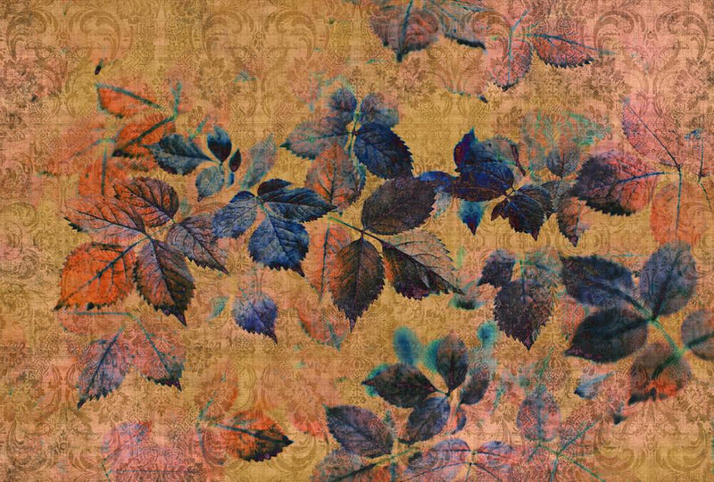 Indian Summer Mural Wallpaper - 2 Colours NZ-Mural