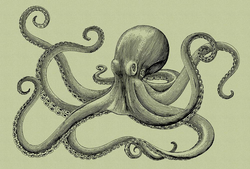 Jules 2 Octopus Mural - Green