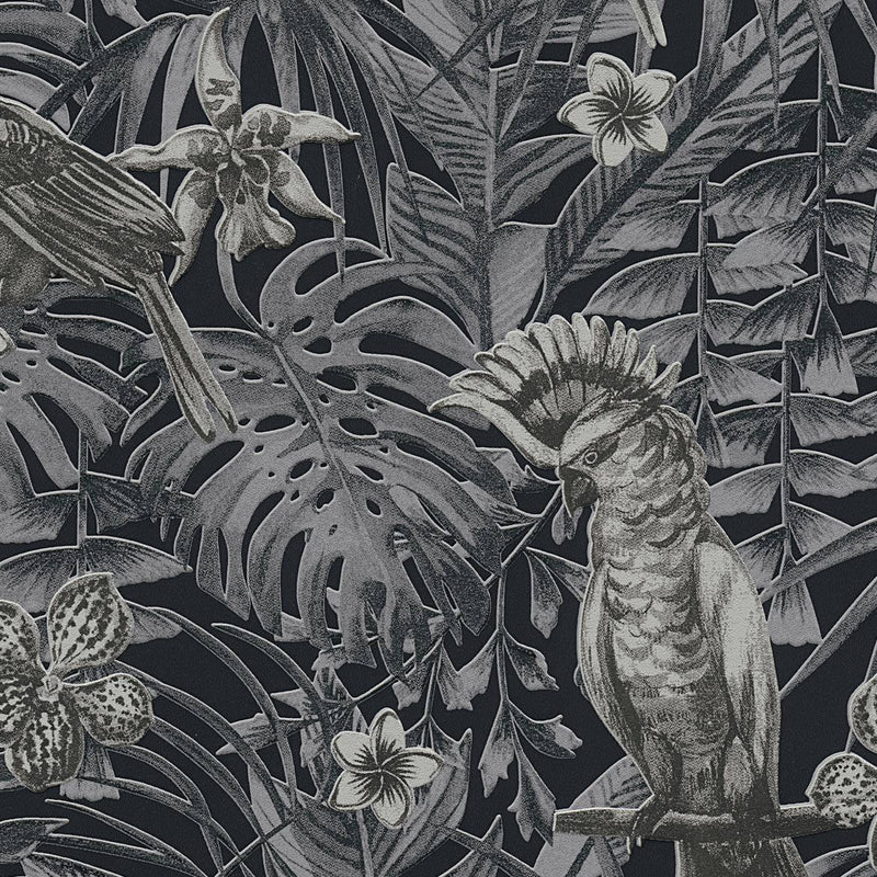 Jungle Parrots Wallpaper - 5 Colours NZ-Wallpaper