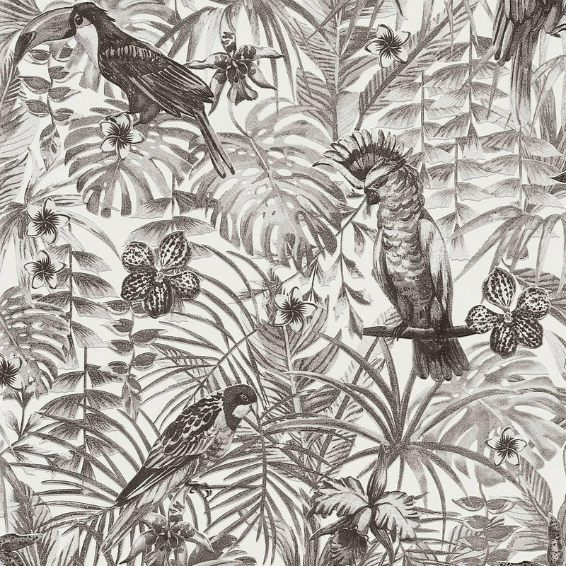 Jungle Parrots Wallpaper - 5 Colours (Discontinuing)