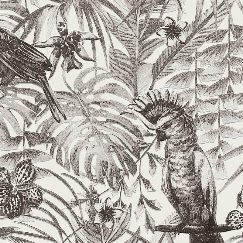 Jungle Parrots Wallpaper - 5 Colours NZ-Wallpaper