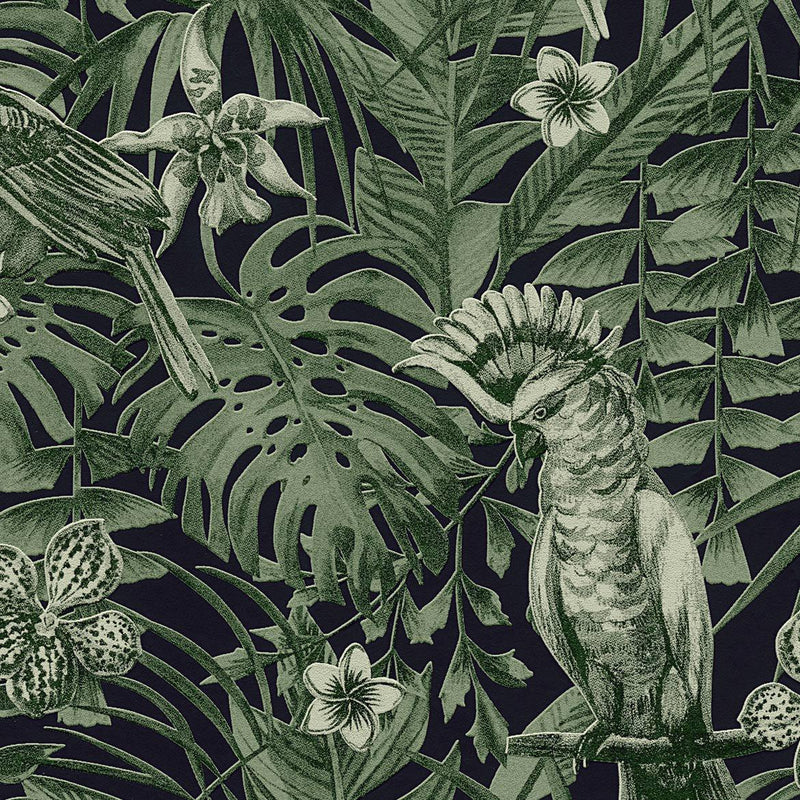 Jungle Parrots Wallpaper - 5 Colours NZ-Wallpaper