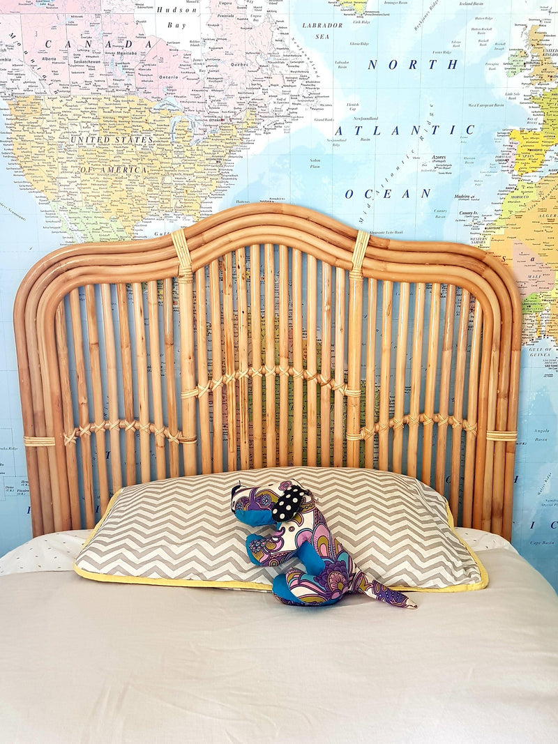 King Single Biscayne & World Map Wallpaper