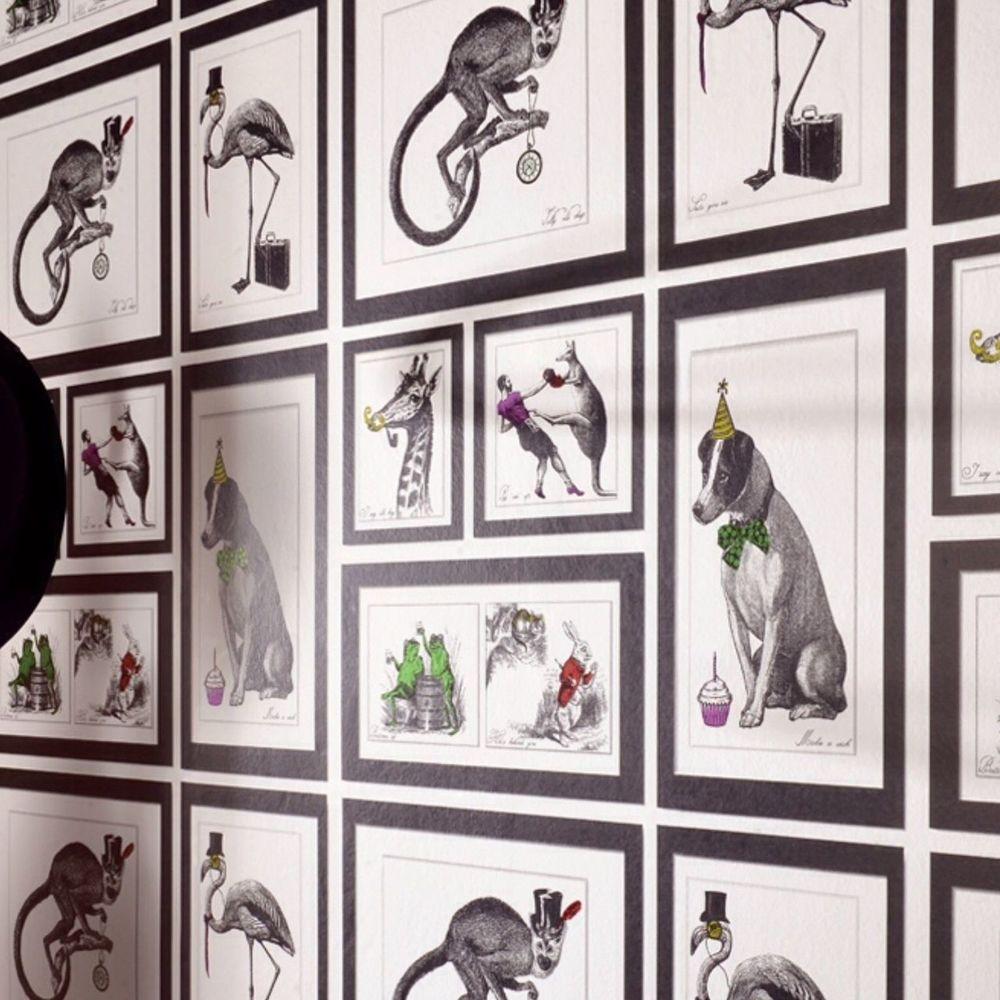 Mad Dogs Wallpaper NZ-Wallpaper