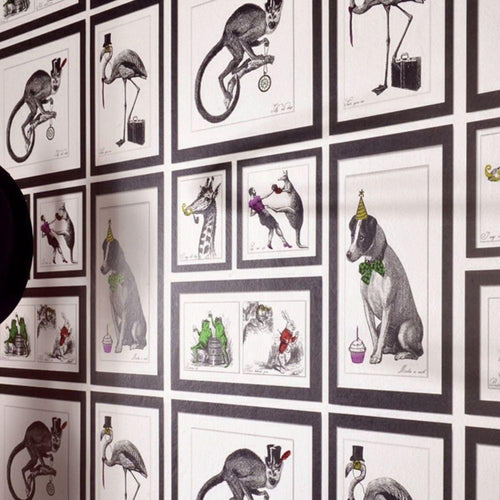 Mad Dogs Wallpaper NZ-Wallpaper