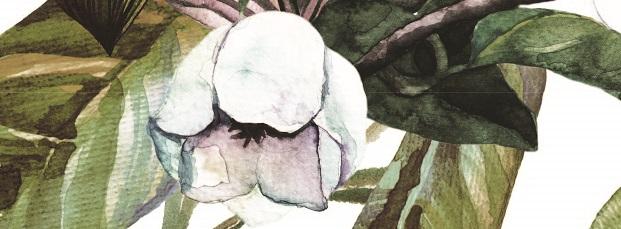 Magnolia Custom Print Mural