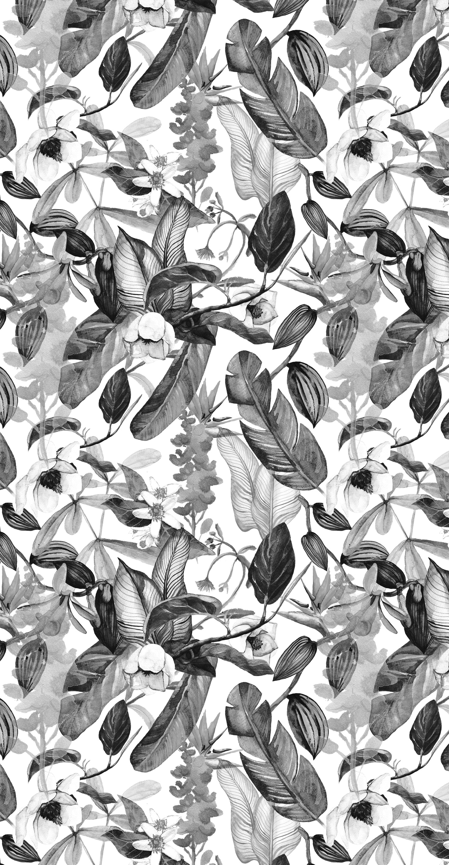 Magnolia Print in Grey