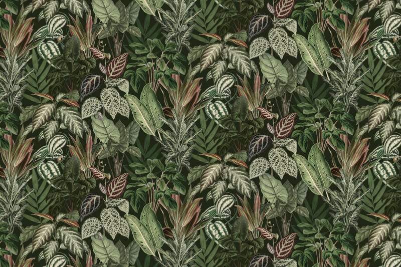 Mischievous Monkeys Mural Wallpaper