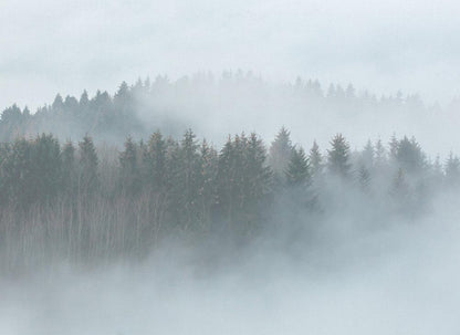 Misty Forest Mural full pattern