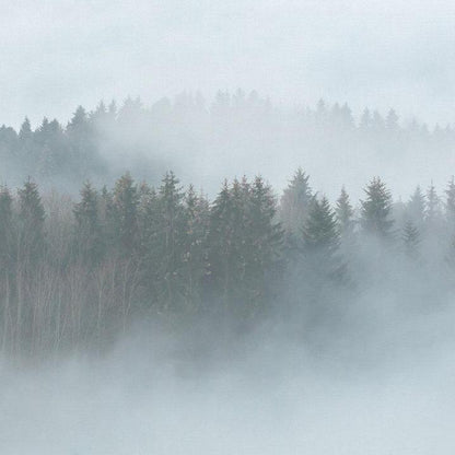 Misty Forest Mural
