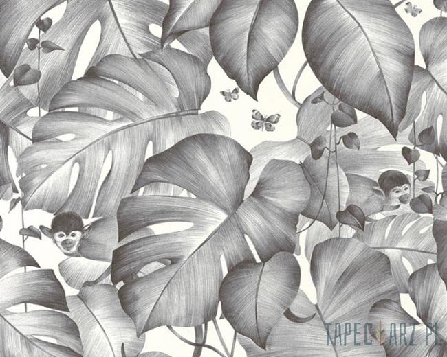 Monkey Business Wallpaper - Charcoal